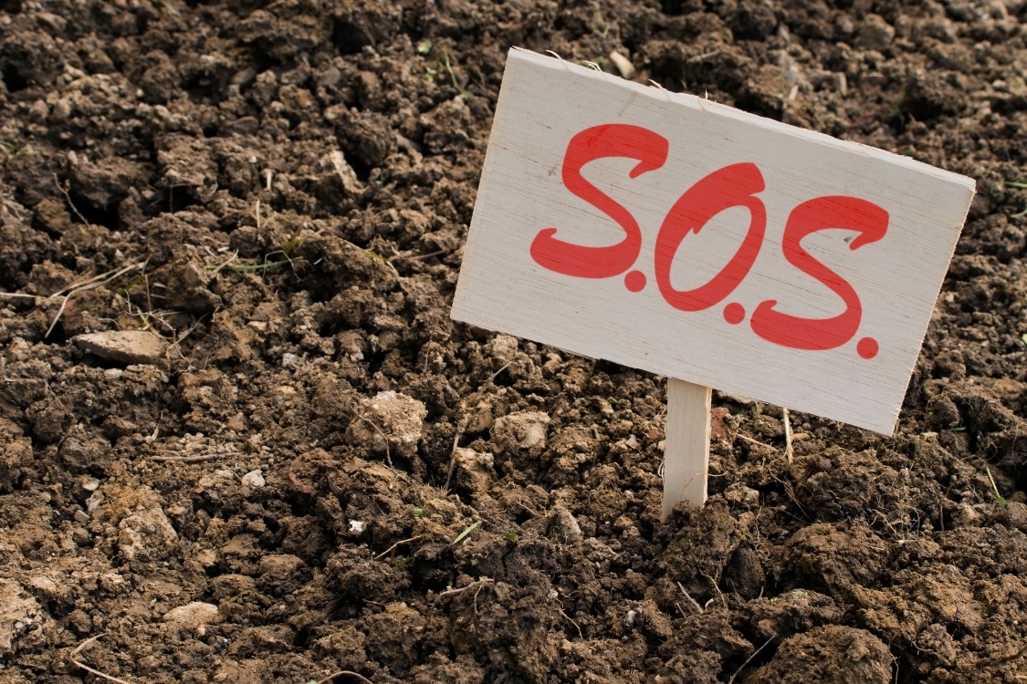 SOS trên Facebook là gì?