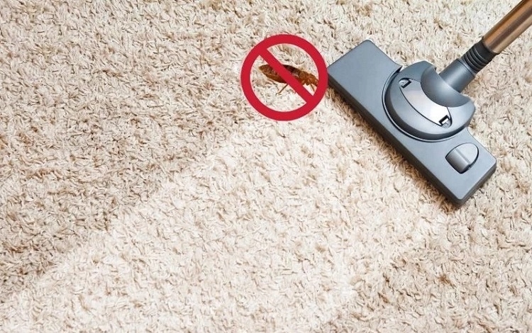 Hút bụi toàn bộ khu vực trong nhà