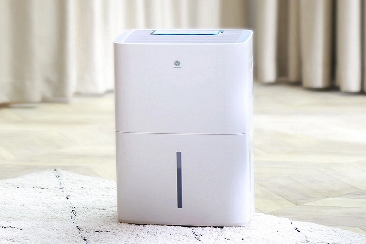 Dùng máy hút ẩm để loại bỏ bọ chét