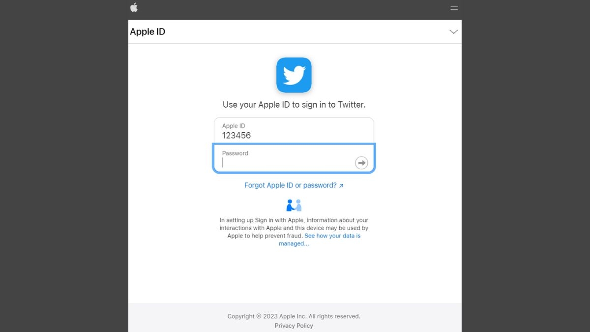 Đăng nhập Twitter bằng Apple bước 3