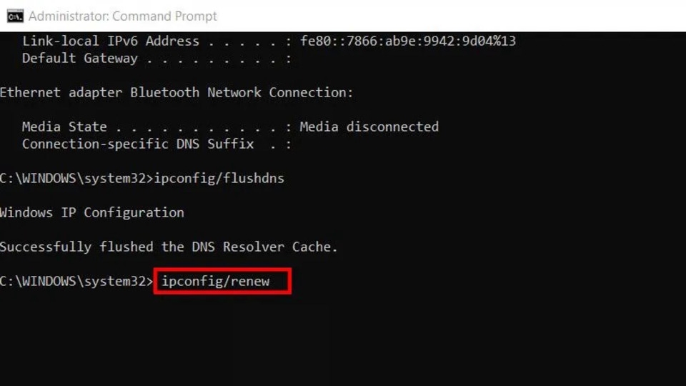Điền lệnh ipconfig/renew