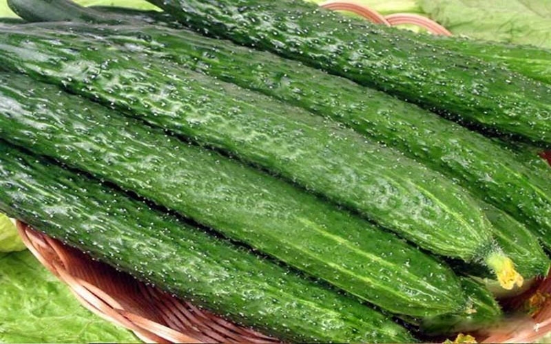 các loại dưa 13