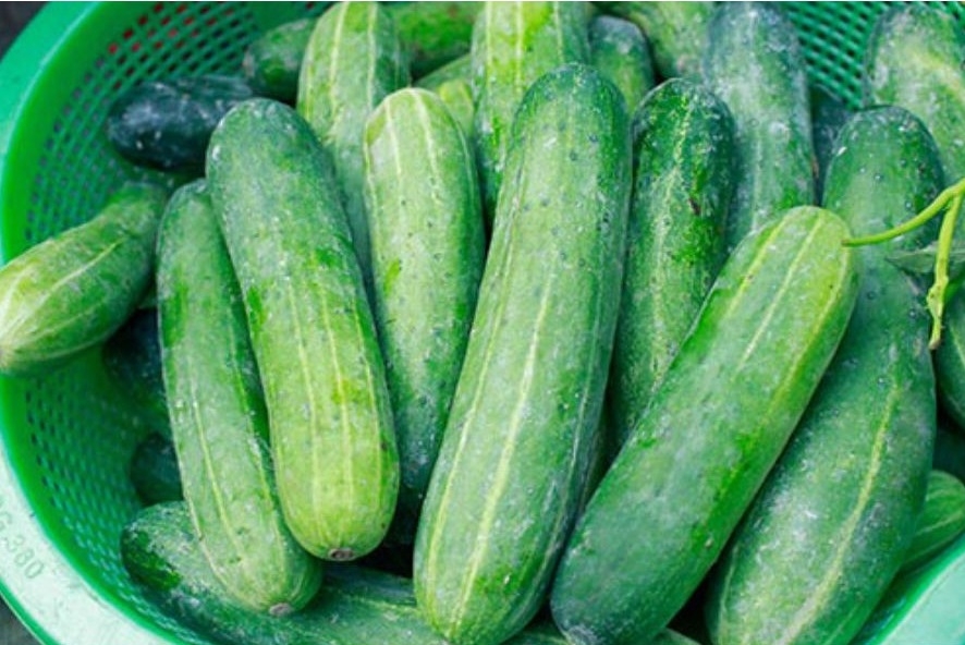 các loại dưa 10