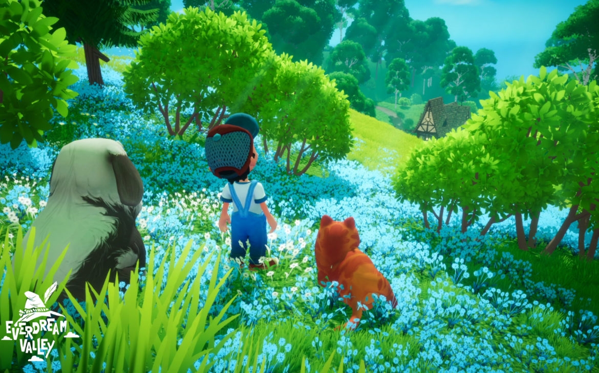 Everdream Valley 5