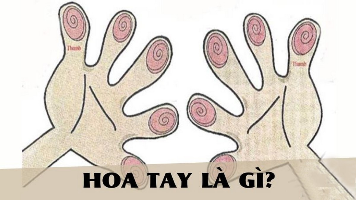 7 hoa tay có ý nghĩa gì - hình 1