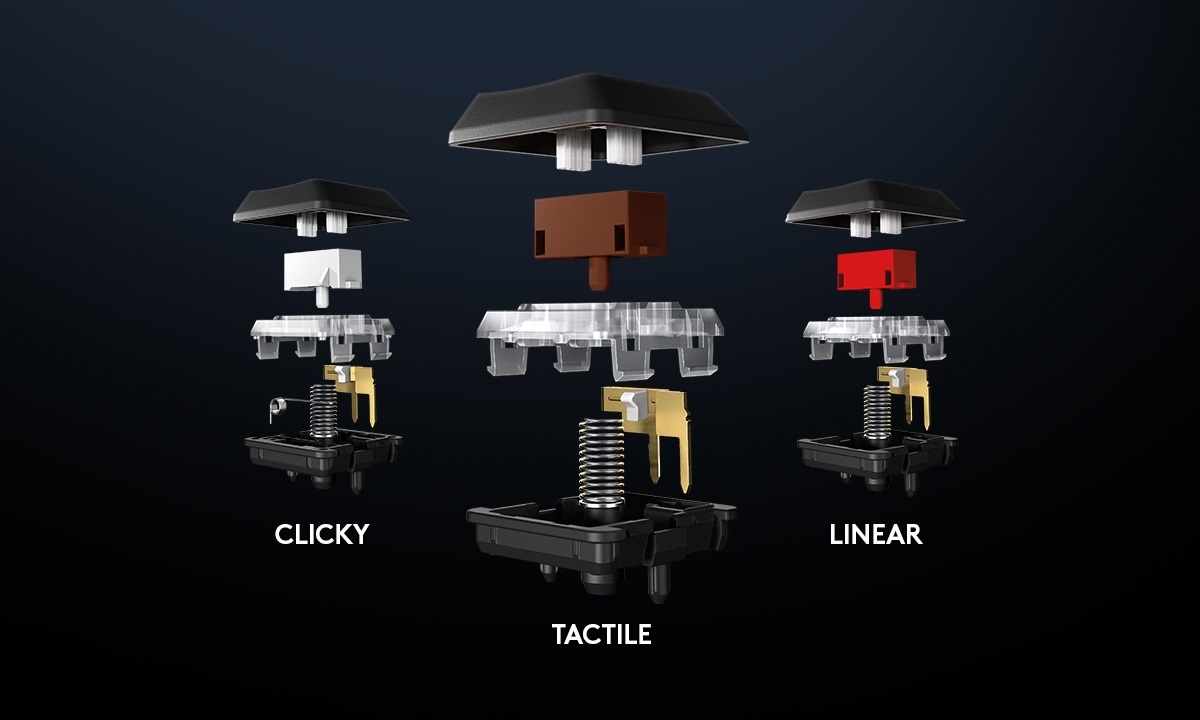 Phân biệt giữa các loại switch Tactile, Clicky và Linear