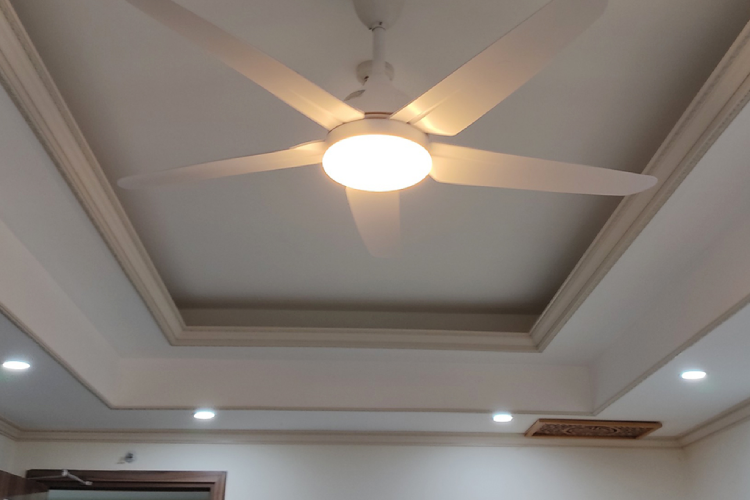 Những loại quạt trần 5 cánh đang bán chạy nhất trên thị trường hiện nay Hình 4