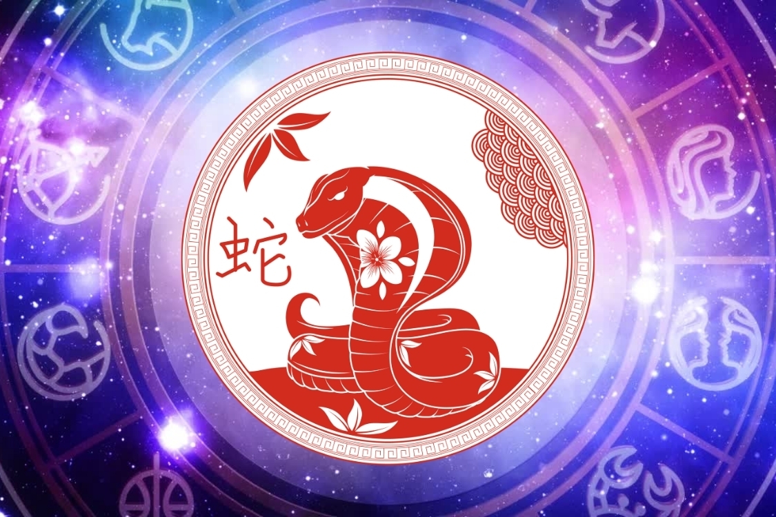 Người sinh giờ Tỵ sướng hay khổ?