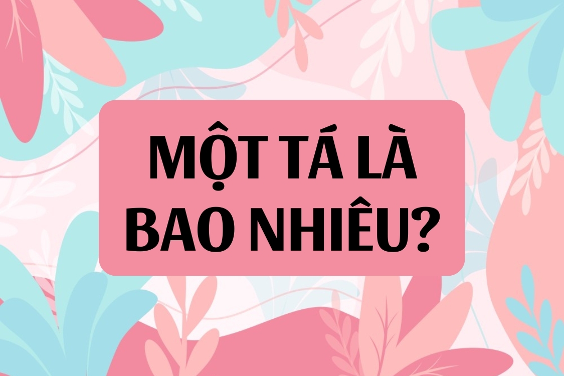 Một tá là bao nhiêu?