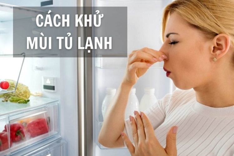 Cách khử mùi thịt thối trong tủ lạnh