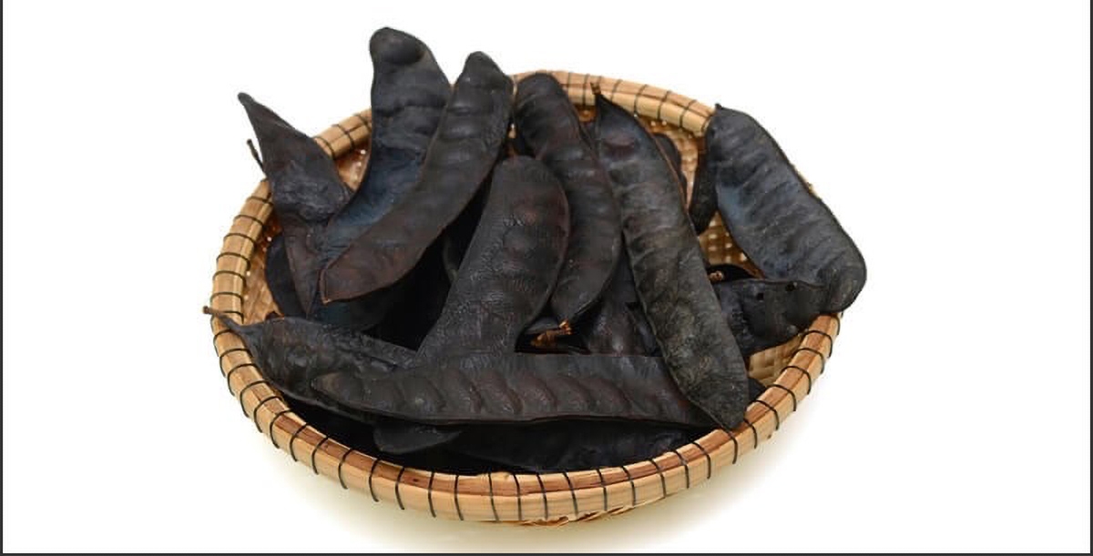 đốt bồ kết có tác dụng gì - hình 1