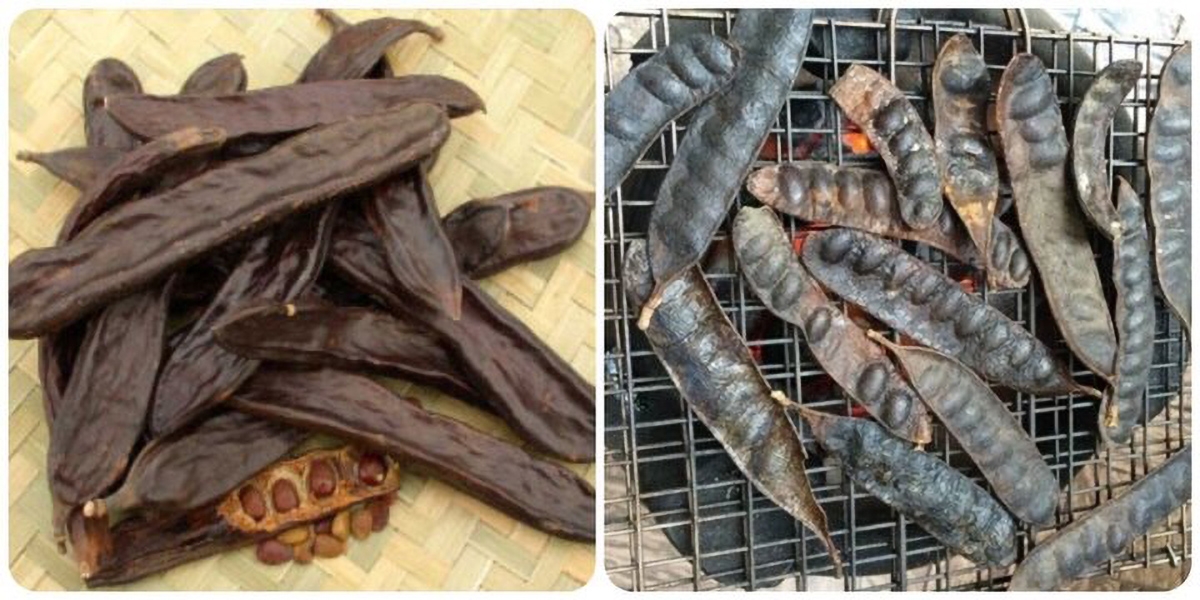 đốt bồ kết có tác dụng gì - hình 4