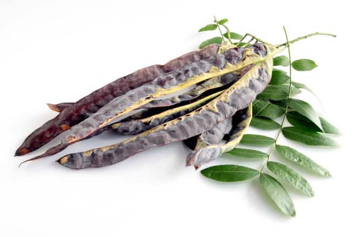 đốt bồ kết có tác dụng gì - hình 5