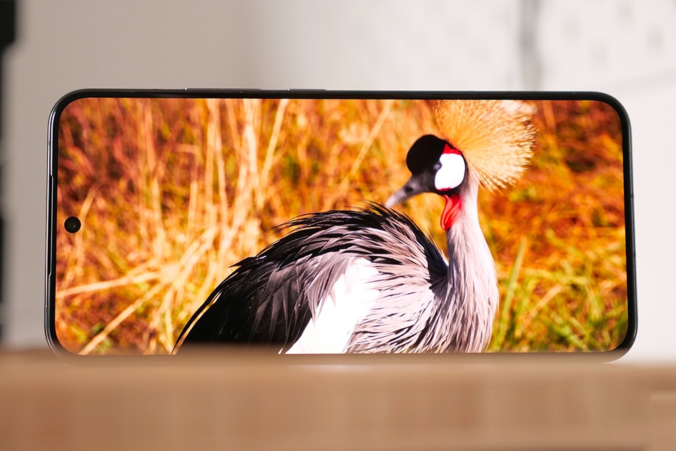 Xiaomi 14 - flagship dẫn đầu xu hướng (hình 4)