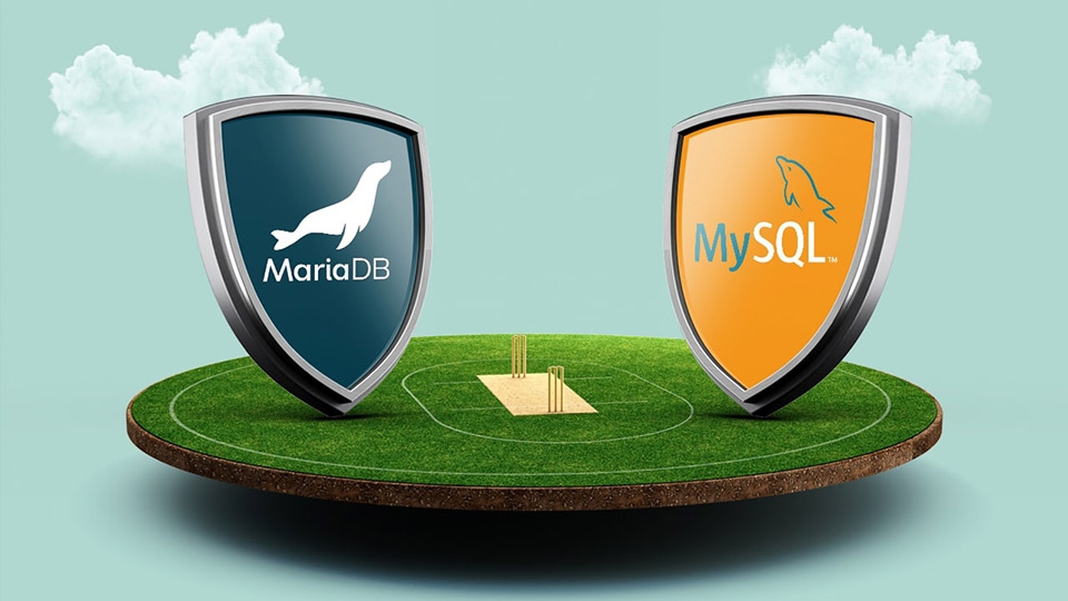 MariaDB được coi như là một phiên bản kế nhiệm của MySQL