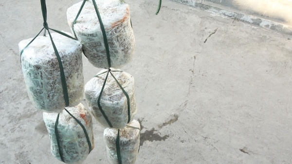 Cách trồng nấm rơm tại nhà (ảnh 5)