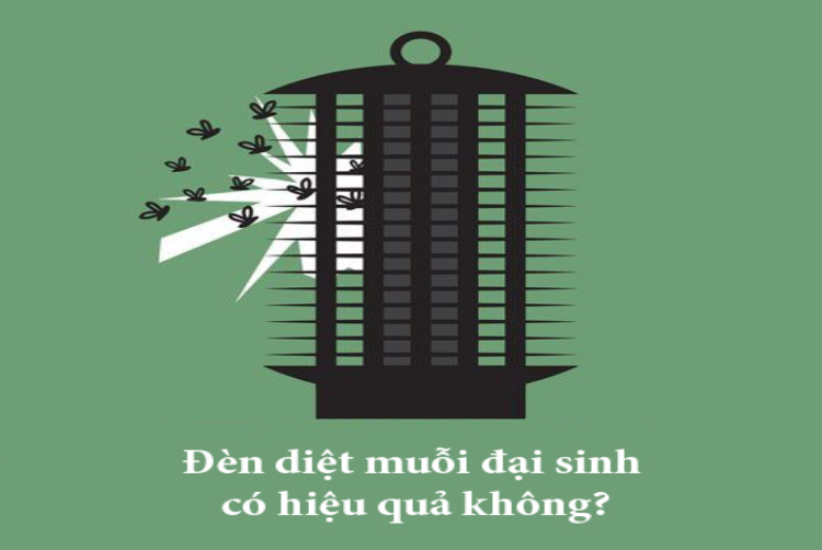 Đèn bắt muỗi Đại Sinh có thật sự hiệu quả như quảng cáo hay không? Hình 3