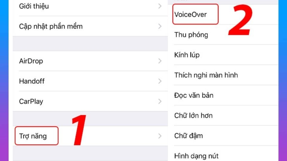 Chọn vào tính năng Voice Over