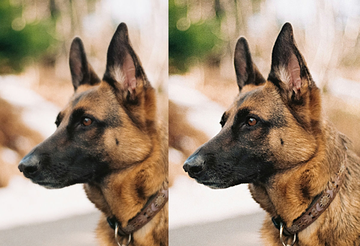 Cách làm nét ảnh trong Photoshop - hình 4