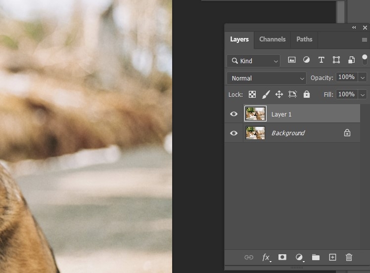 Cách làm nét ảnh trong Photoshop - hình 5