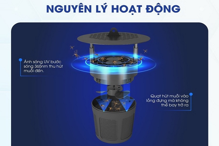 Nguyên lý hoạt động của đèn bắt muỗi Rạng Đông