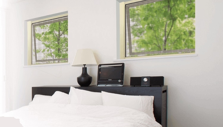 Đặt lưới chống muỗi ở trên cửa sổ ngăn không cho muỗi bay vào nhà