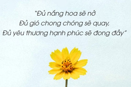 STT nắng - 1