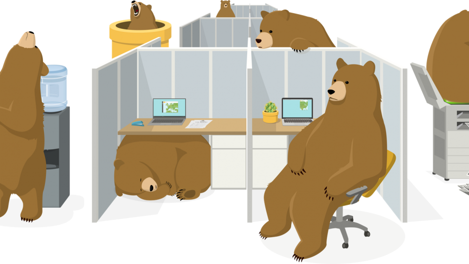 TunnelBear - hình 6