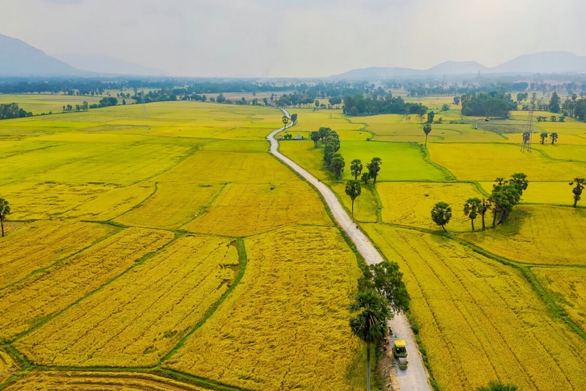 1 sào bắc bộ - hình 1