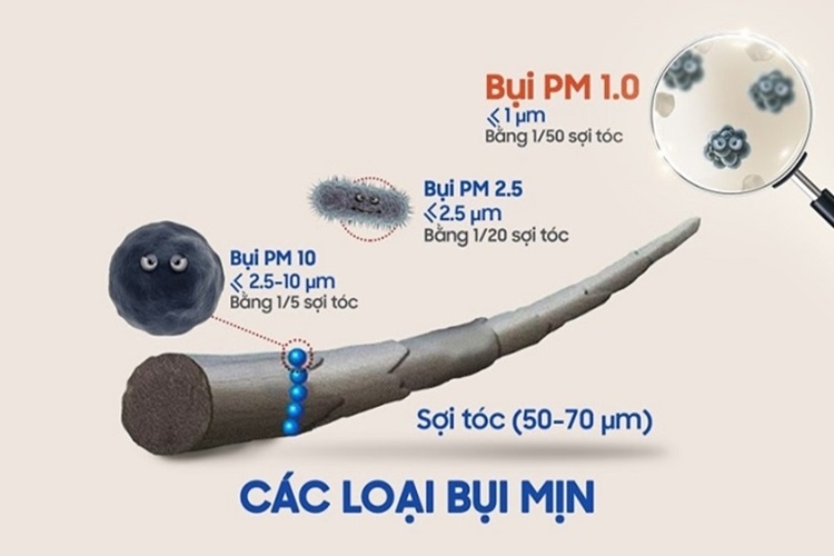 Tìm hiểu về bụi mịn PM 0.3 và các biện pháp phòng ngừa bụi mịn để bảo vệ sức khỏe gia đình - Hình 2