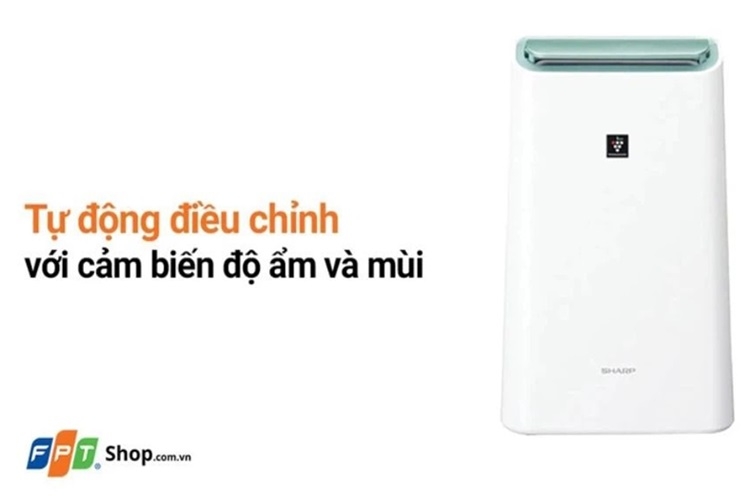 Tìm hiểu về bụi mịn PM 0.3 và các biện pháp phòng ngừa bụi mịn để bảo vệ sức khỏe gia đình - Hình 9