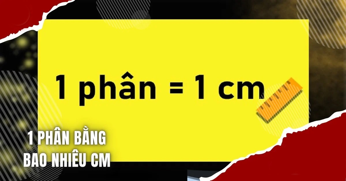 1 phân là bao nhiêu cm - hình 2