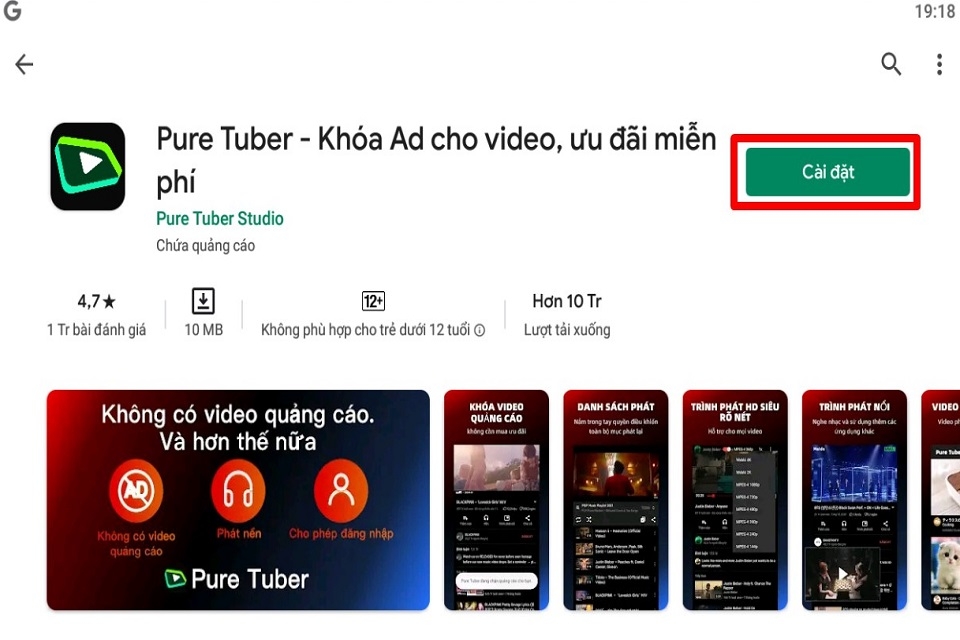 Pure Tuber 17