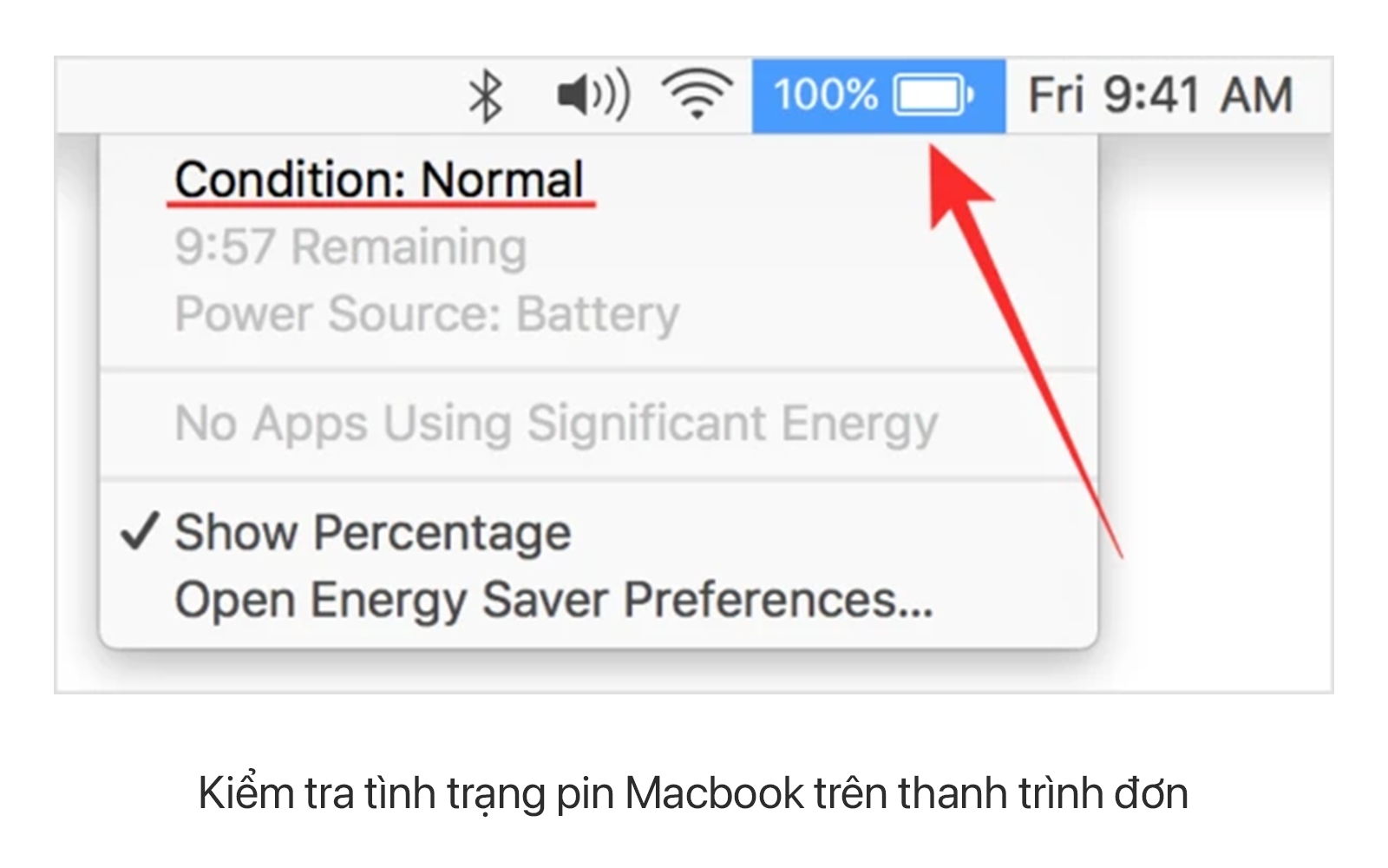 kiểm tra pin macbook normal