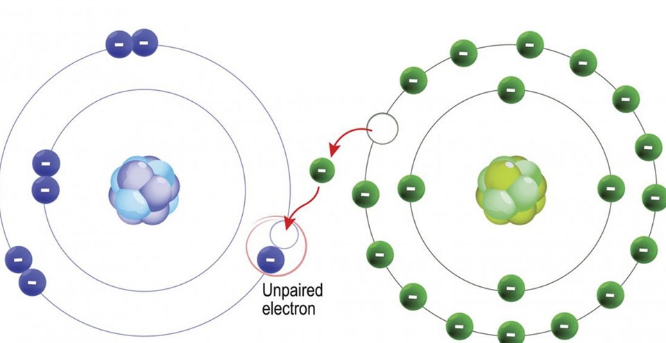 Gốc tự do - Ảnh 01