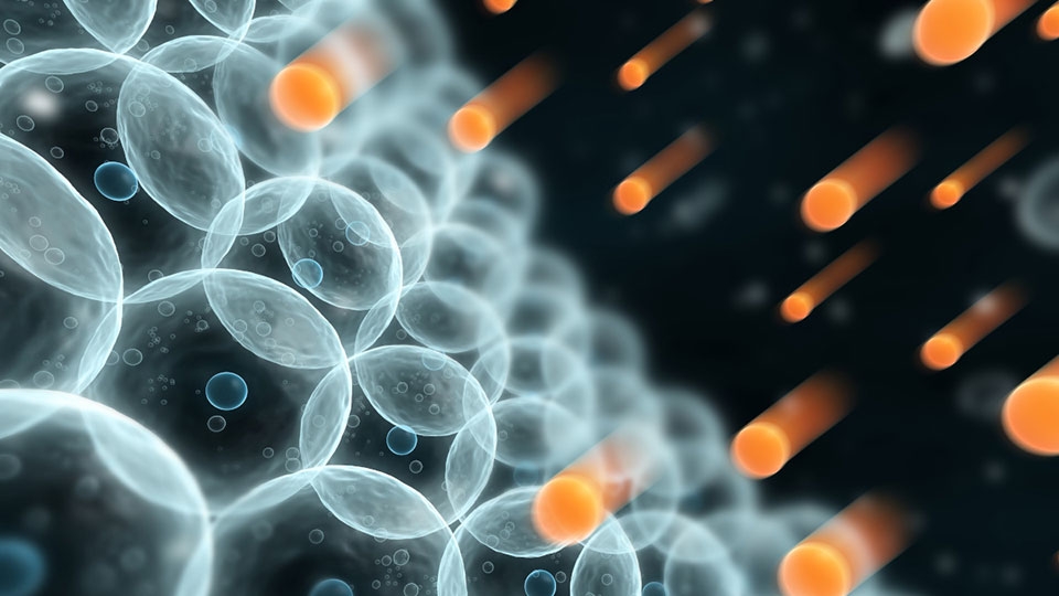 Máy lọc nước - Ảnh 02