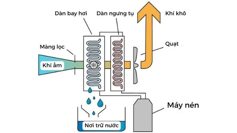Thiết bị này hoạt động dựa trên nguyên lý làm lạnh không khí