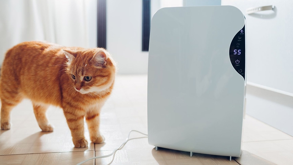 Máy hút ẩm ngưng tụ có hiệu quả hút ẩm vượt trội