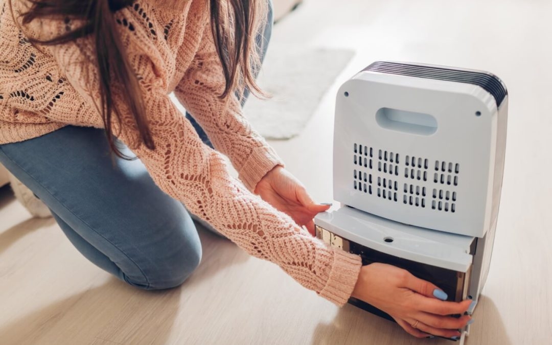 Máy hút ẩm ngưng tụ ứng dụng nguyên lý làm lạnh để loại bỏ độ ẩm dư thừa