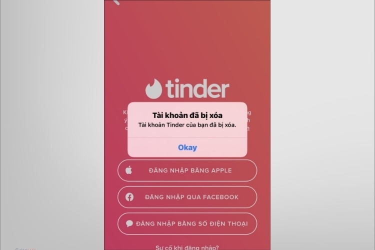 Mẹo hoặc thay tên Tinder đơn giản và giản dị và nhanh gọn lẹ, update tiên tiến nhất 2024 - hình 7