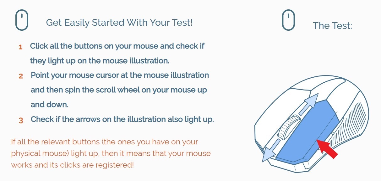 Test chuột (ảnh 4)