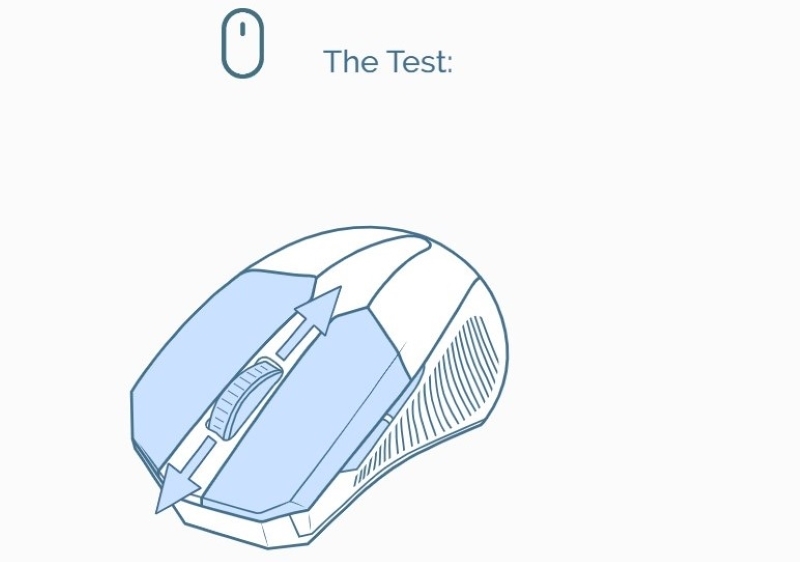 Test chuột (ảnh 5)