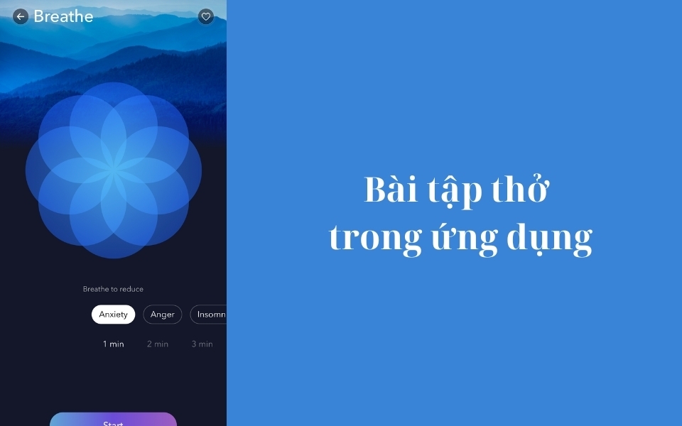 Giảm căng thẳng, tập trung tốt hơn nhờ trò chơi thư giãn