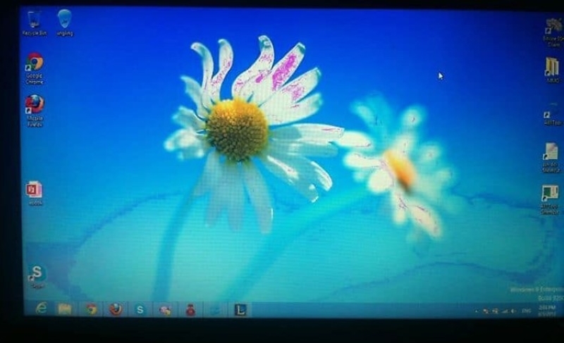 Màn hình laptop bị nhòe (ảnh 1)