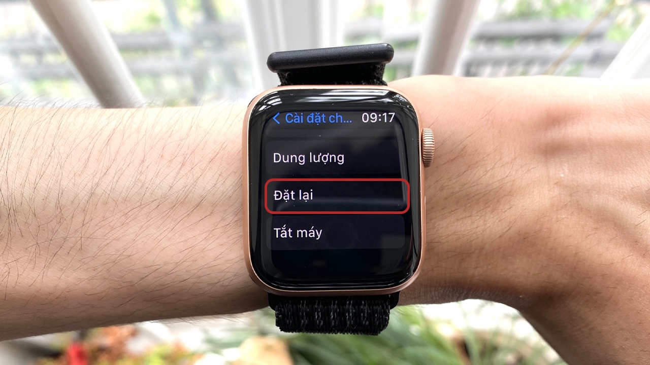 hủy ghép đôi Apple Watch - hình 8