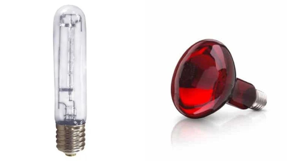 So sánh quạt sưởi halogen và hồng ngoại 3