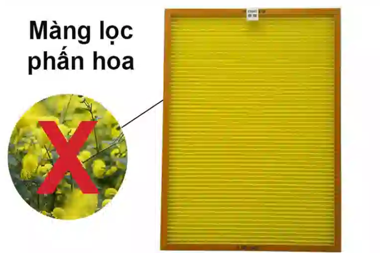 Khám phá những tính năng của màng lọc phấn hoa, giải pháp tối ưu cho không gian sống khoẻ Hình 1