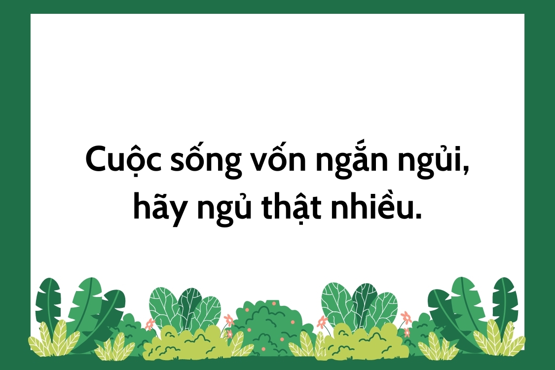 Stt hài hước về cuộc sống