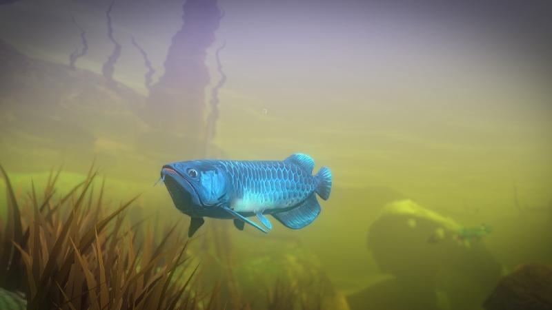 Fish Feed and Grow - hình 1