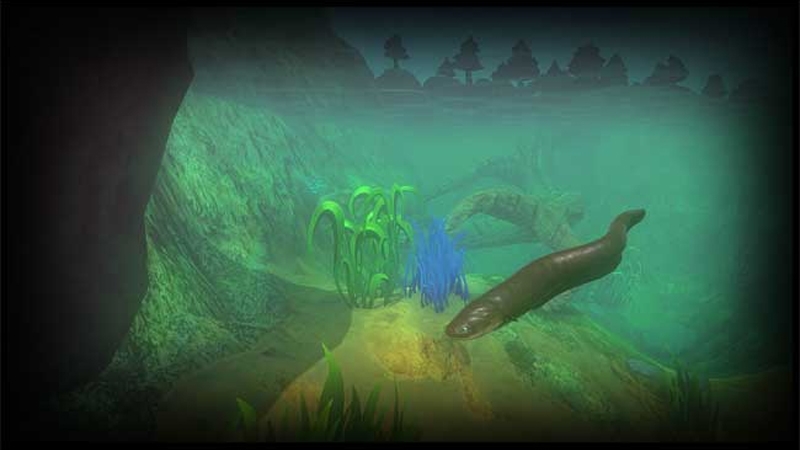 Fish Feed and Grow - hình 6